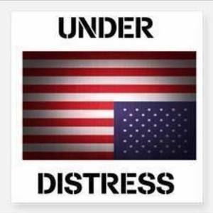 Meet your Posher, Pauline